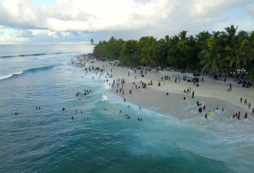 Pension Shark Lounge