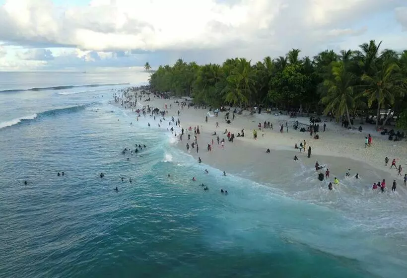 پانسیون Shark Lounge