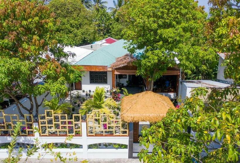 Pension Shark Lounge