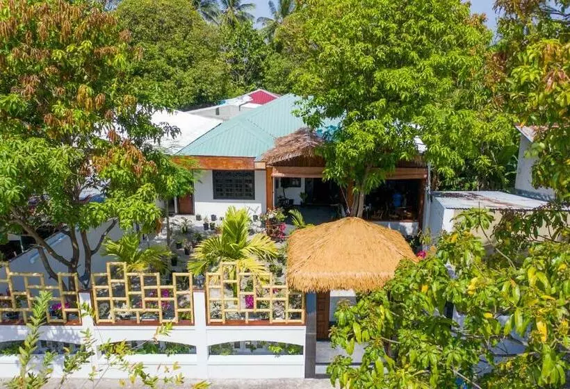 پانسیون Shark Lounge