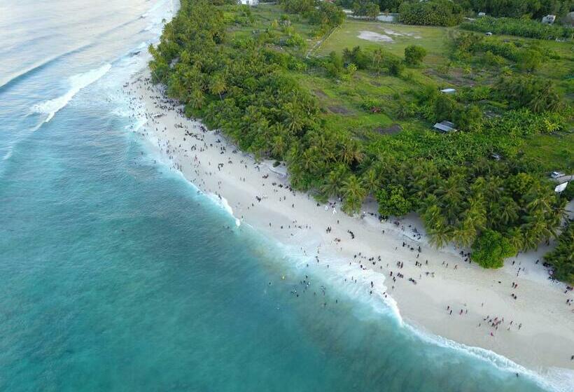 Pension Shark Lounge