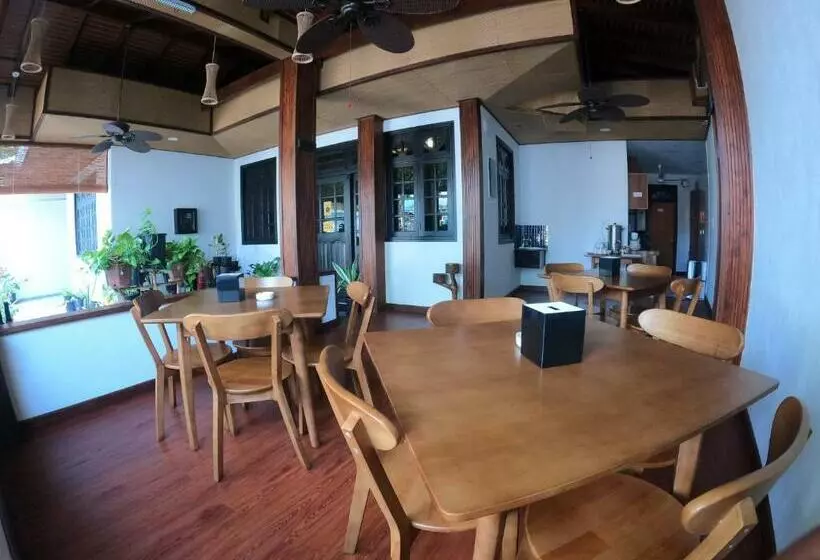 پانسیون Shark Lounge