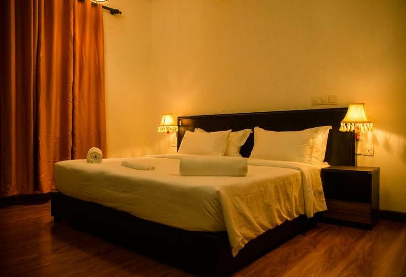 Pension Shark Lounge