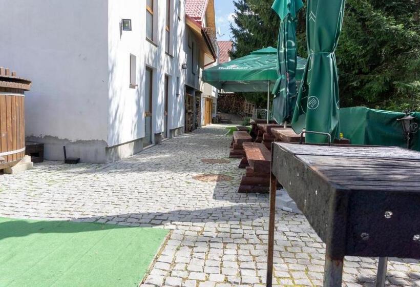 Pensiunea Aria Paltinis