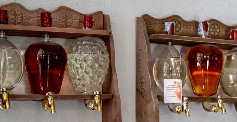 Pensiunea Aria Paltinis