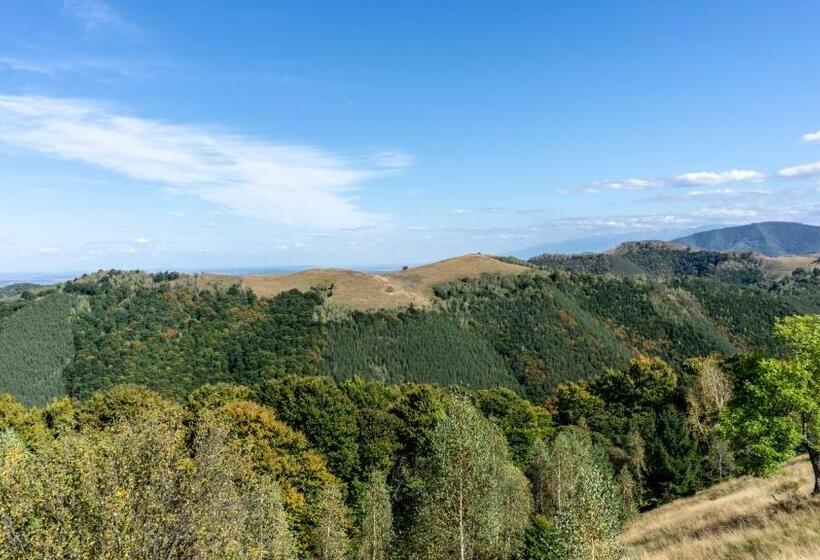 Pensiunea Aria Paltinis