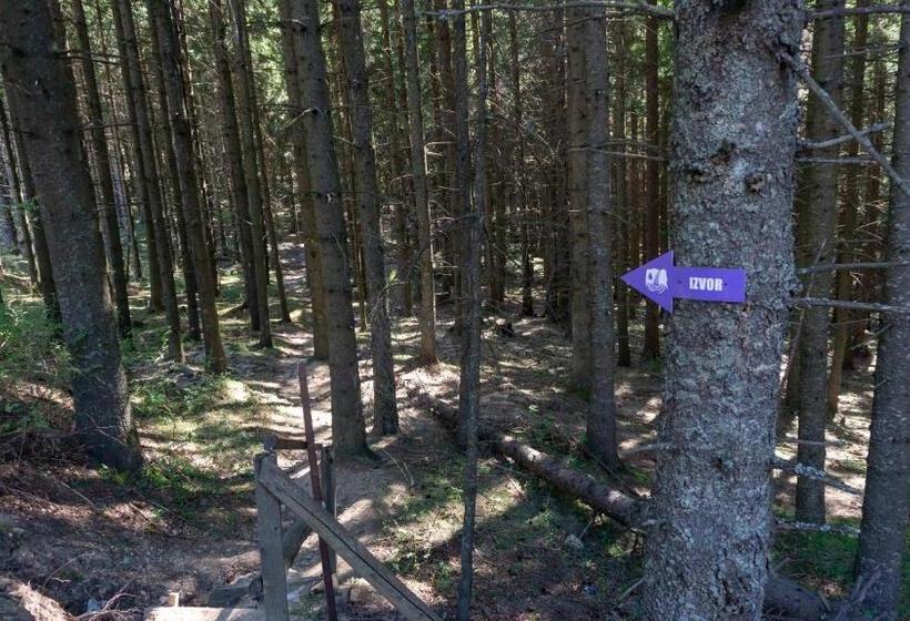 Pensiunea Aria Paltinis