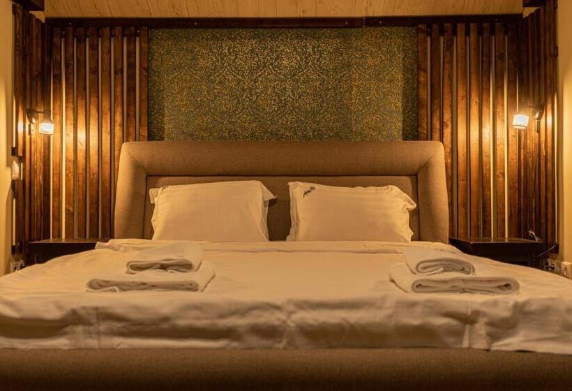 Pensiunea Aria Paltinis