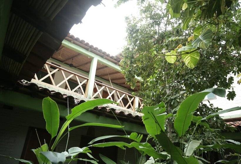 호스텔 La Buena Vista