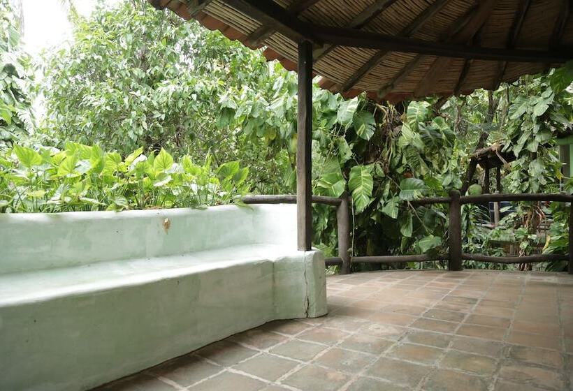 호스텔 La Buena Vista