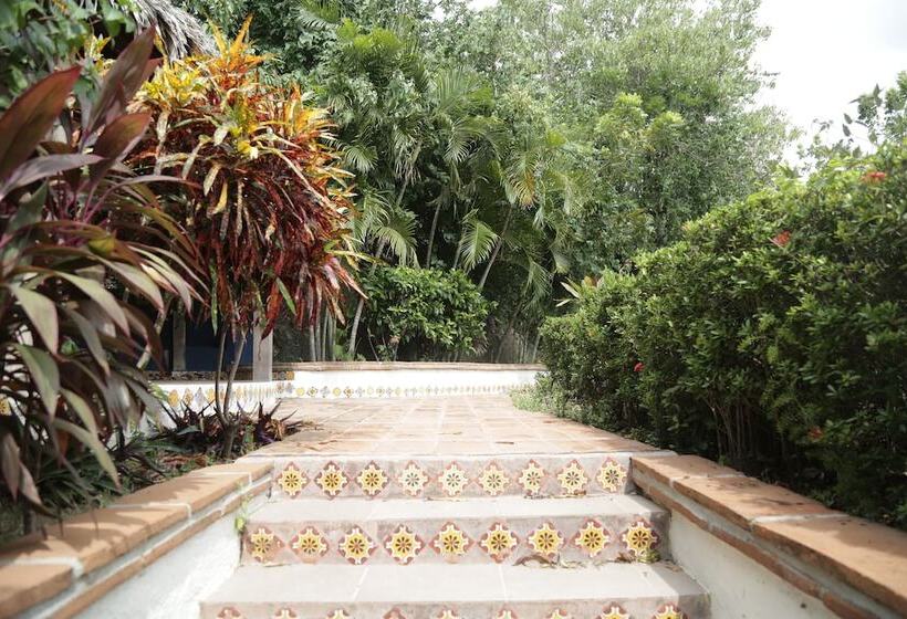 호스텔 La Buena Vista