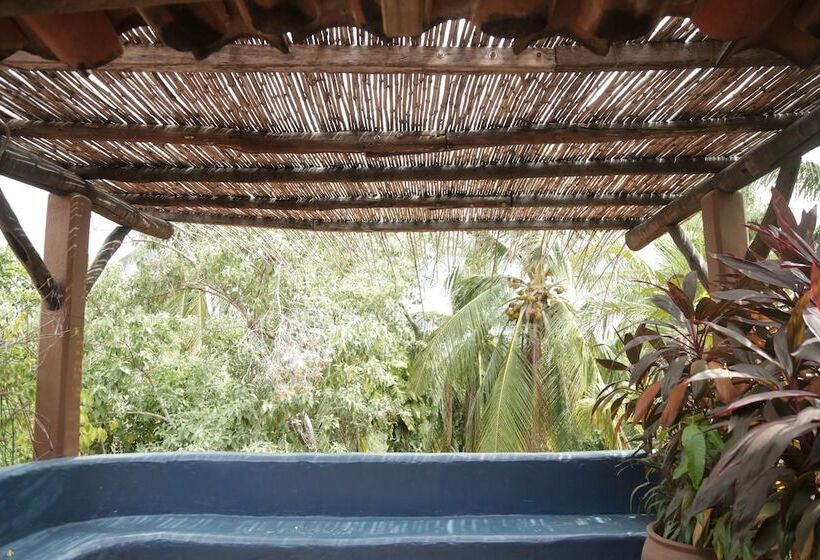 호스텔 La Buena Vista