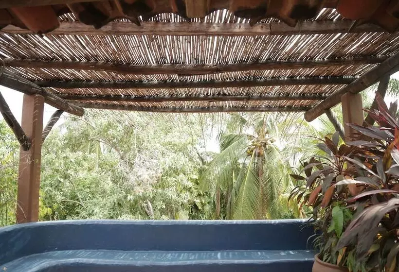 Retkeilymaja La Buena Vista