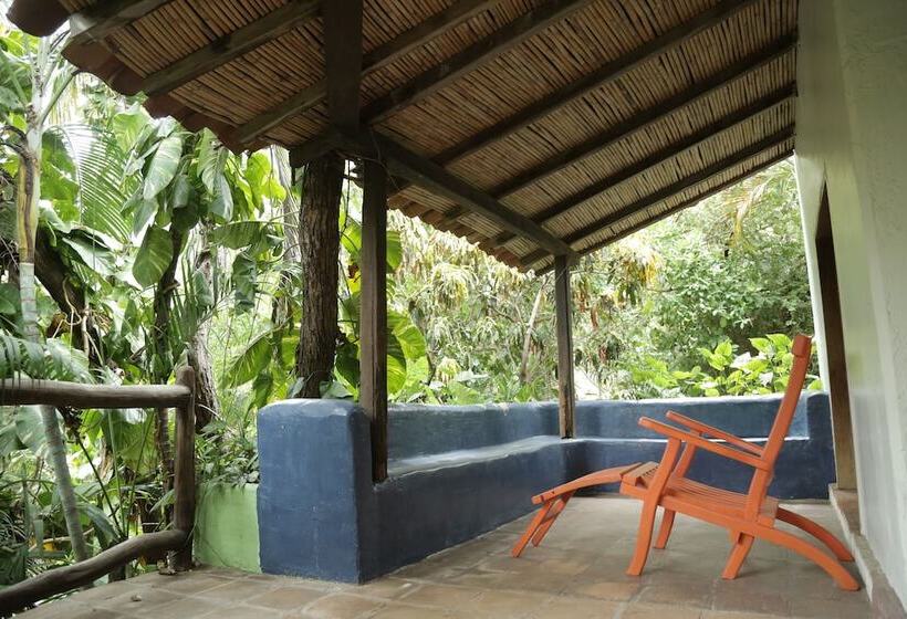 호스텔 La Buena Vista