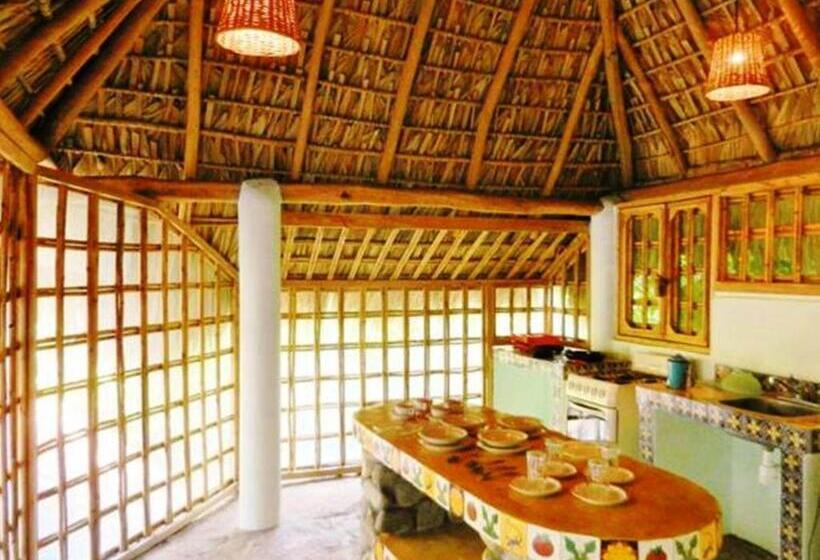 호스텔 La Buena Vista