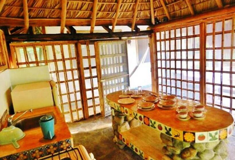 호스텔 La Buena Vista