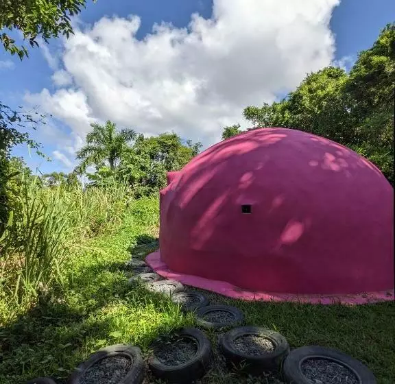 تختخواب و صبحانه La Casa De Vida Natural