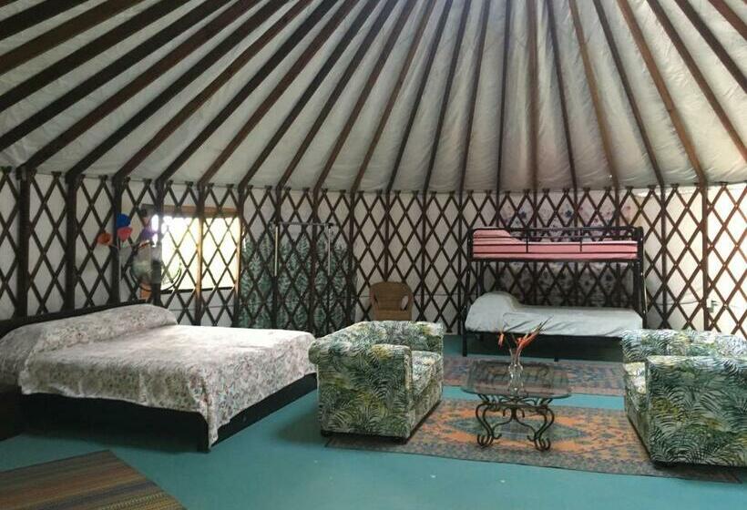 تختخواب و صبحانه La Casa De Vida Natural