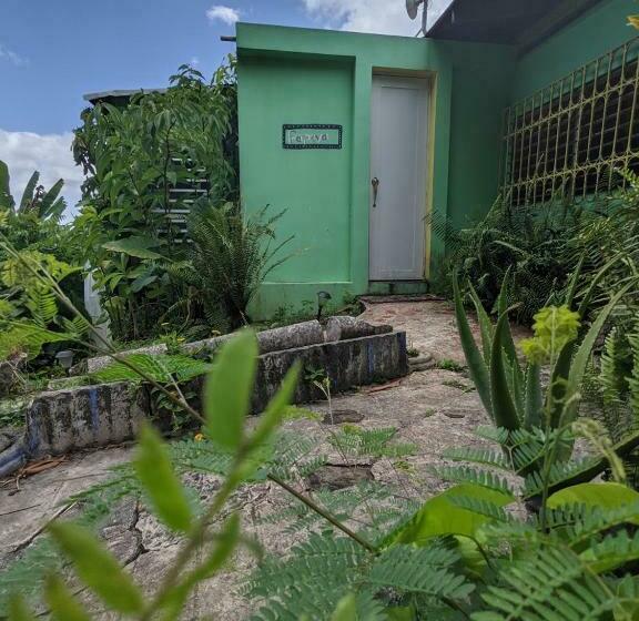 تختخواب و صبحانه La Casa De Vida Natural