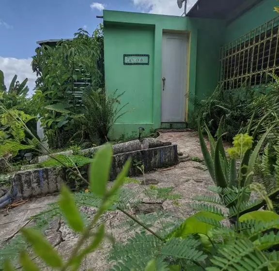 تختخواب و صبحانه La Casa De Vida Natural