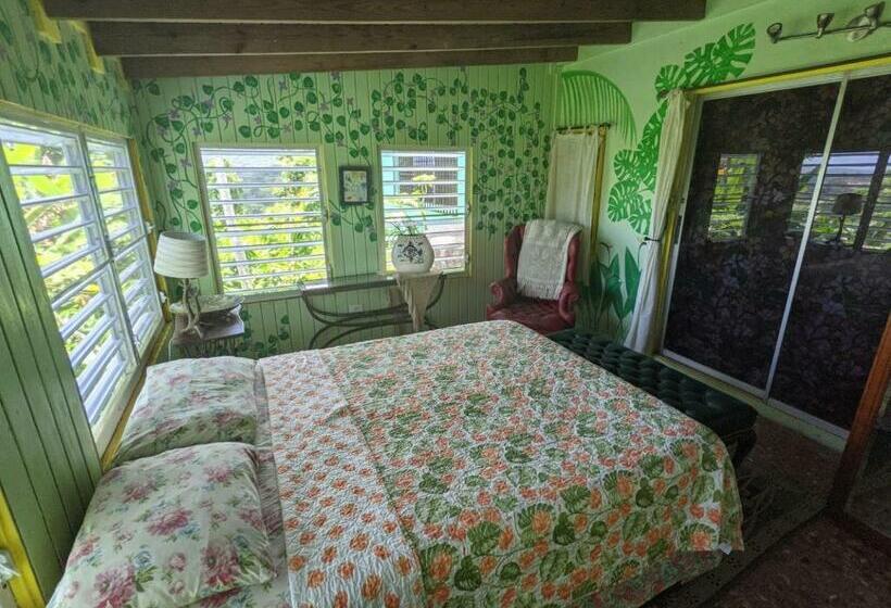 تختخواب و صبحانه La Casa De Vida Natural