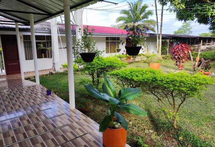 Отель Campo Verde