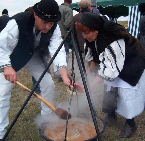 بنسيون La Curtea Porumbaceana