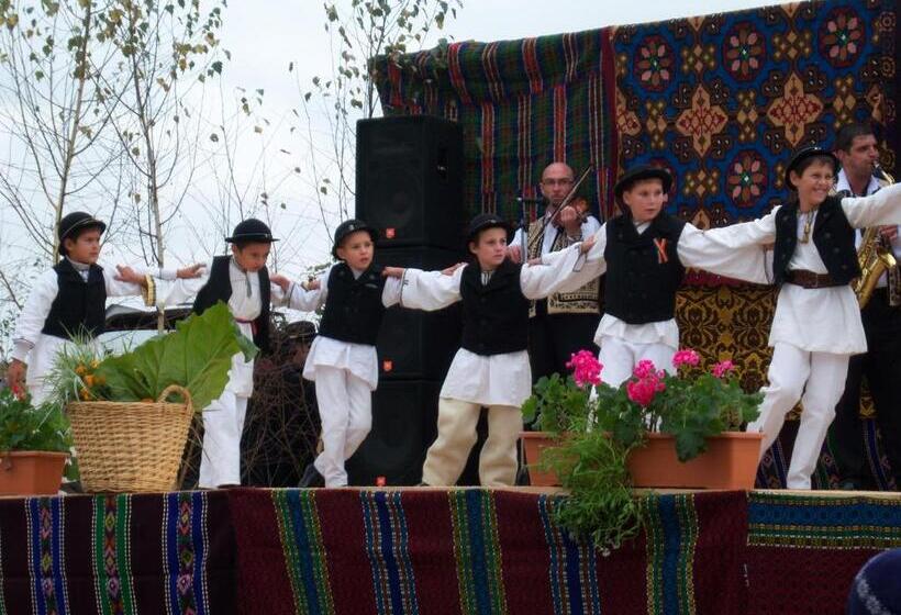 بنسيون La Curtea Porumbaceana