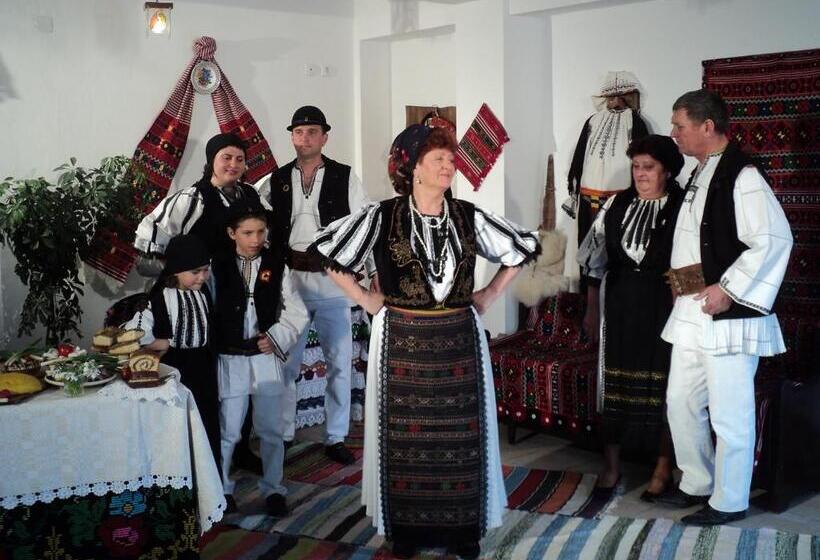 بنسيون La Curtea Porumbaceana