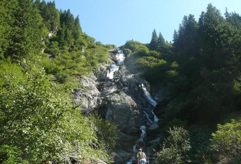 بنسيون La Curtea Porumbaceana