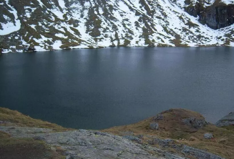 Majatalo La Curtea Porumbaceana