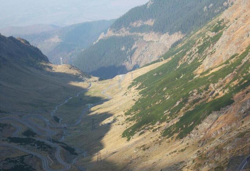 بنسيون La Curtea Porumbaceana