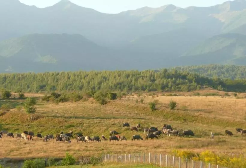 Majatalo La Curtea Porumbaceana