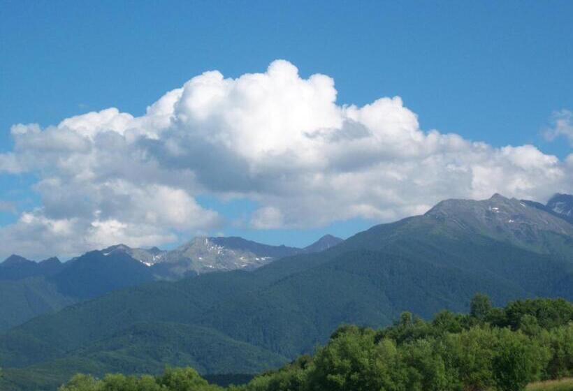 بنسيون La Curtea Porumbaceana