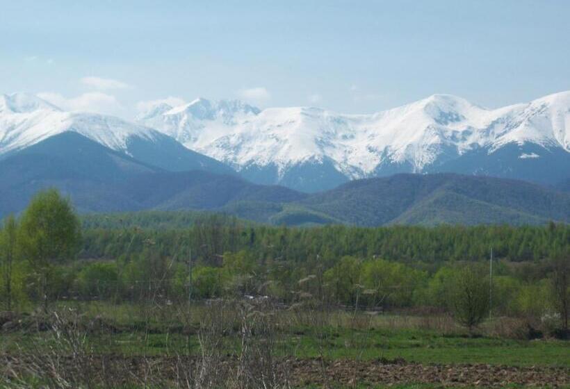 بنسيون La Curtea Porumbaceana