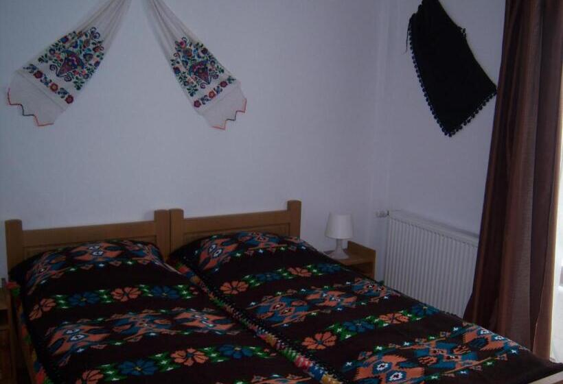 بنسيون La Curtea Porumbaceana