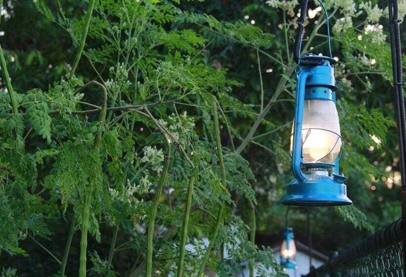 פנסיון Moon Light Guest House