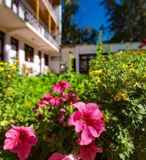 Pensione Rainbow Hostelier