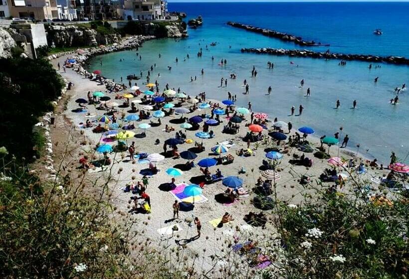 Pensjonat Camere Albatea