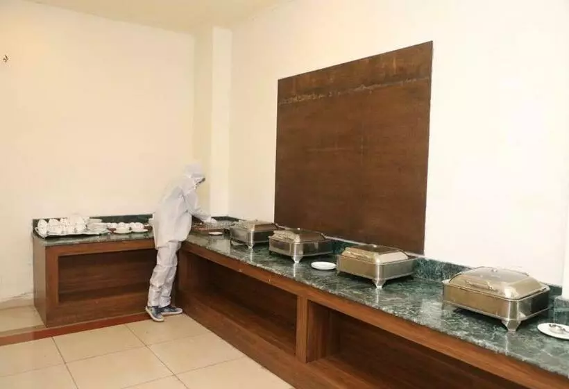 Hotelli Shree Vallabh Vilas Lords Plaza Nathdwara   Pure Veg