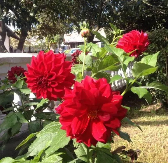 Hotelli Y Hosteria Natabuela