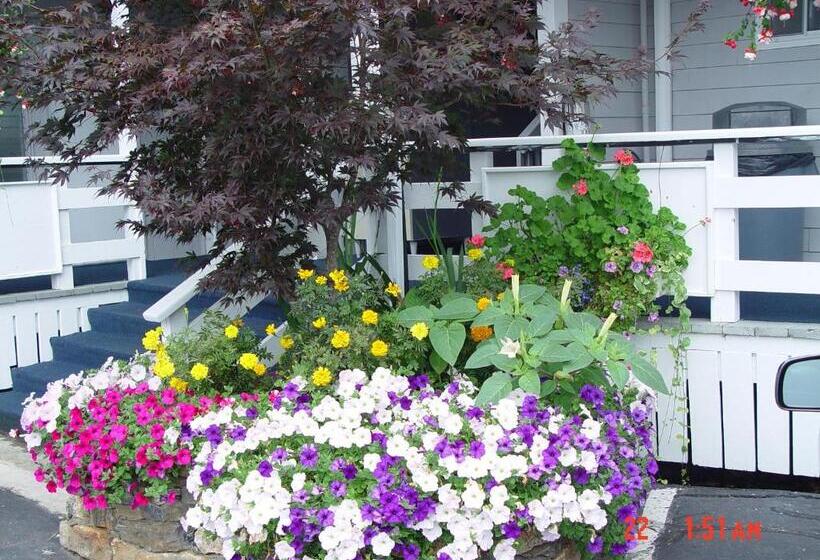 הוסטל Browns Wharf Inn