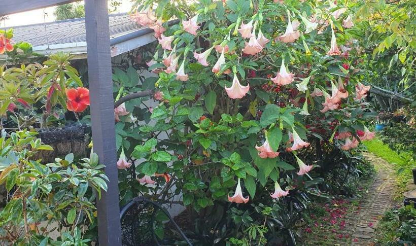 Ashcroft Gardens Bed & Breakfast