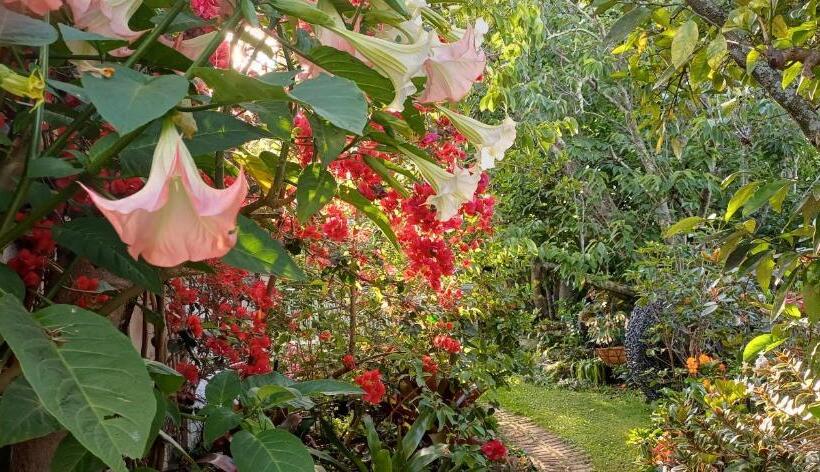 Ashcroft Gardens Bed & Breakfast