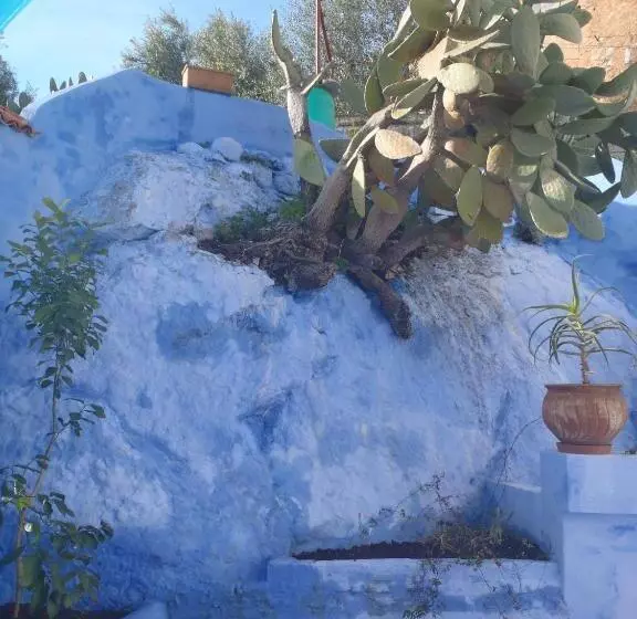 Aamiaismajoitus (B&B) Dar Dalia