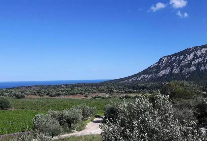 ホテル Agriturismo Su Barcu