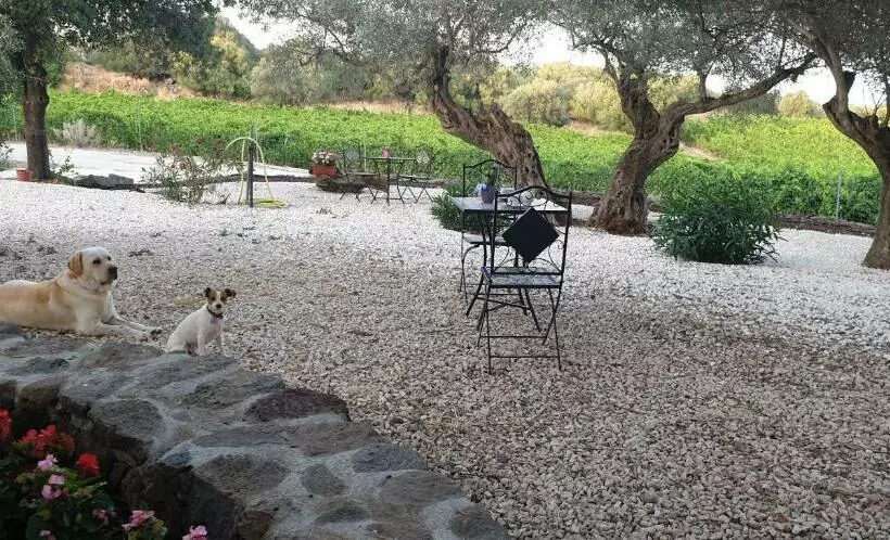 ホテル Agriturismo Su Barcu