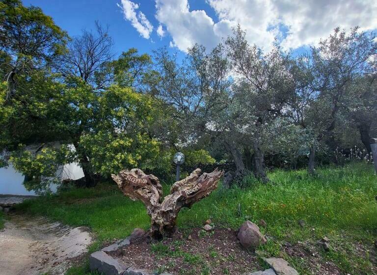 هتل Agriturismo Su Barcu