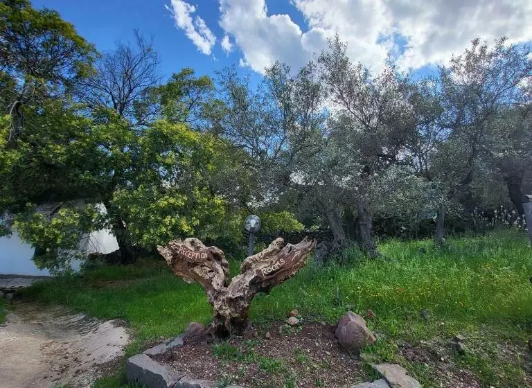 ホテル Agriturismo Su Barcu