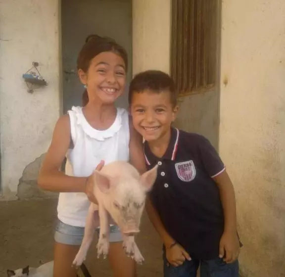 ホテル Agriturismo Su Barcu